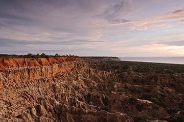 杰贝阿里国际海运