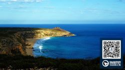 广东到柬埔寨金边海运