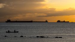 数字航运注册于2020年在丹麦推出