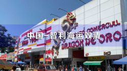 智利海运双清,智利双清包税,智利海运双清专线